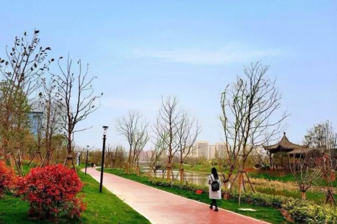 安徽生态环境保护督察铜陵持续治理秀水河水清岸绿生态美