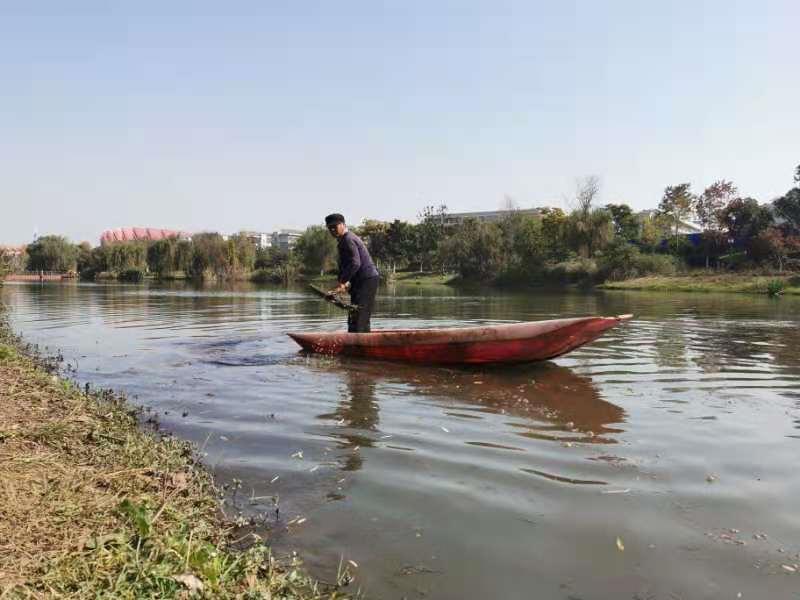 安徽生态环境保护督察铜陵持续治理秀水河水清岸绿生态美