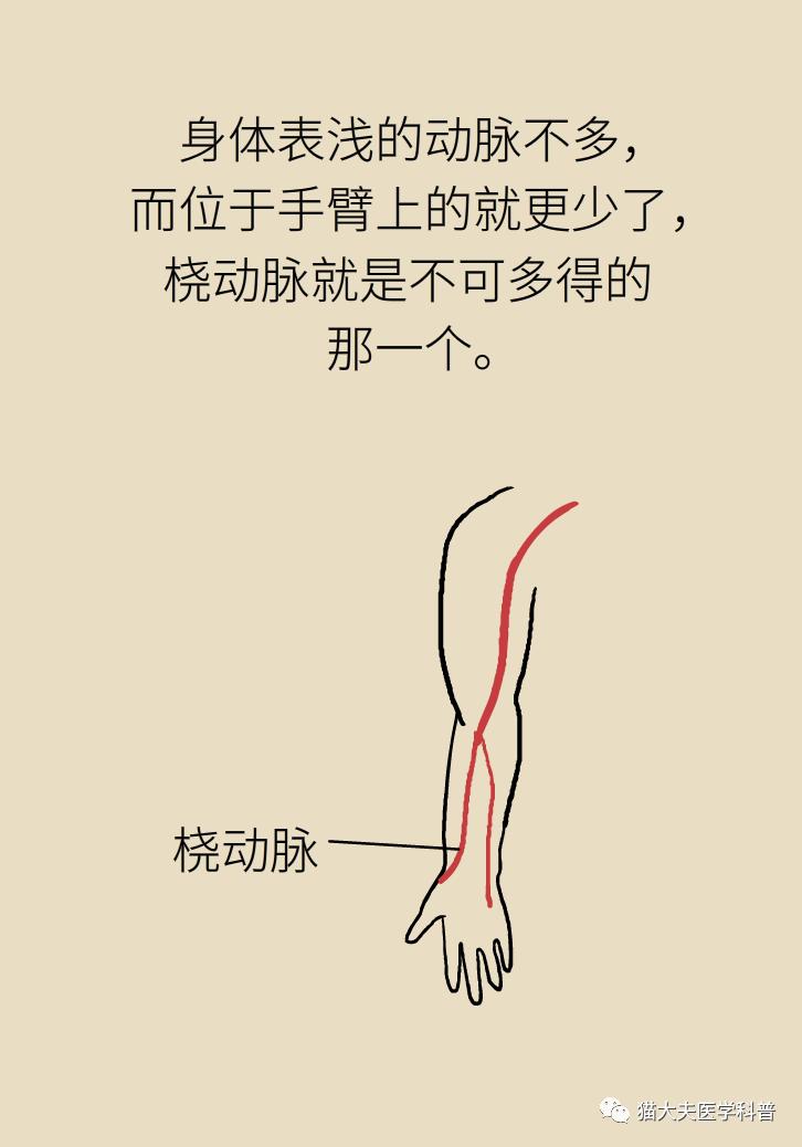 955.jpg