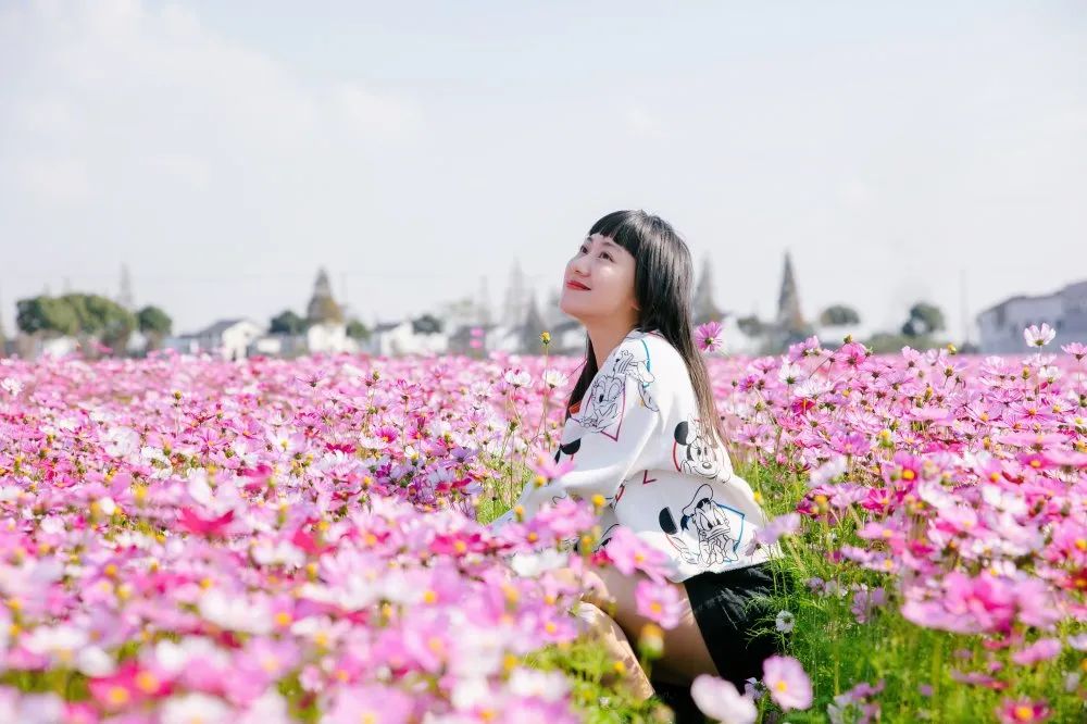 超美花海醉了