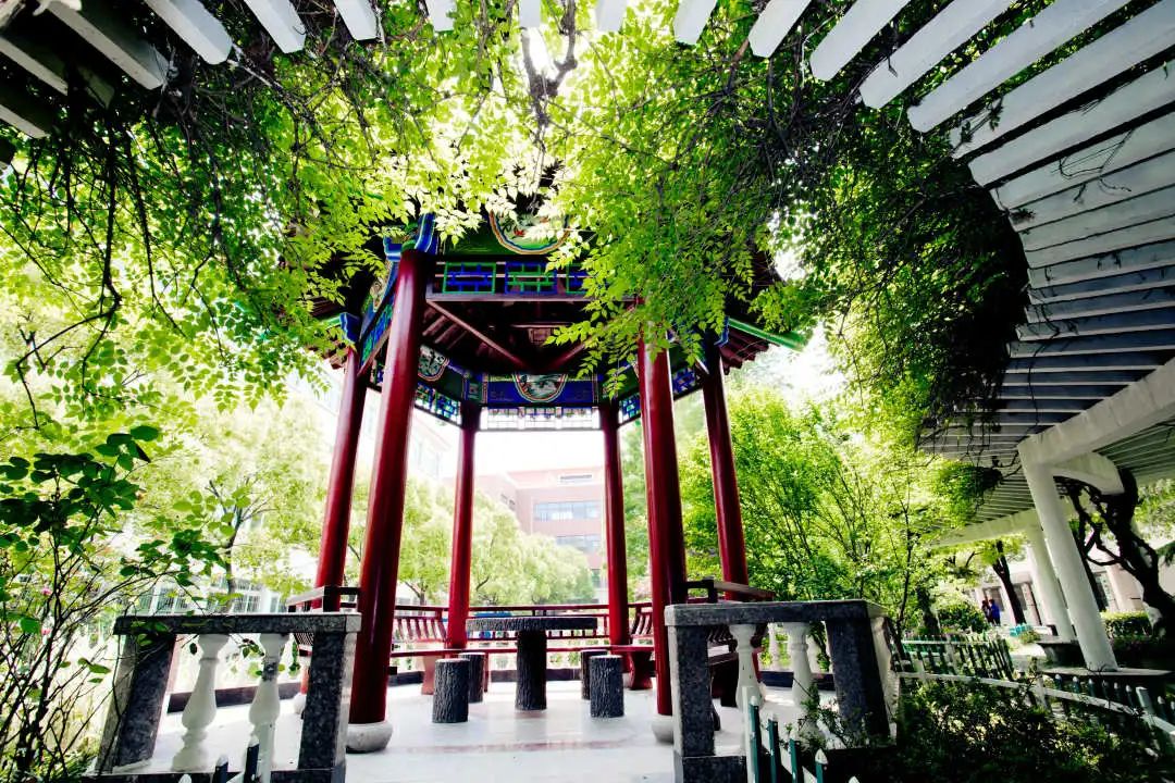 满目郁郁葱葱走进肖塘中学关心奉贤大小事,关注"上海奉贤"一手掌握!