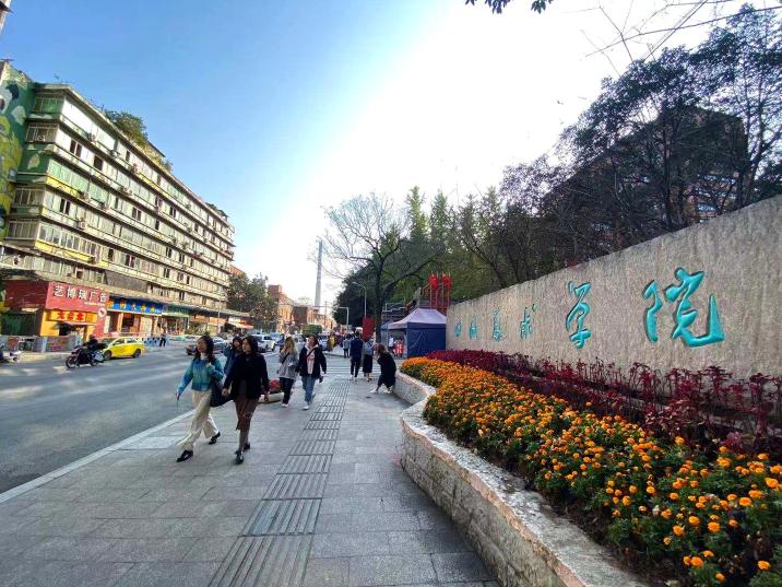 重庆美术公园的前世今生公园的血脉未来式67