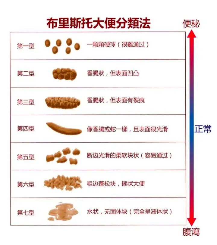 鸟粪便对照图图片