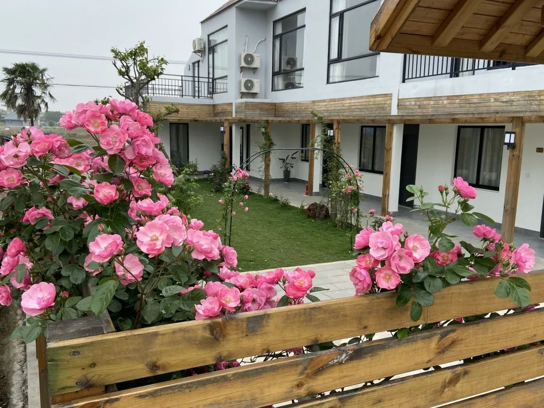 在崇明港沿镇,有一家取名"漾舍"的民宿,主打北欧极简风.