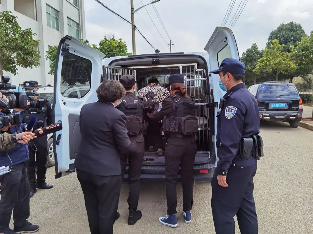 执行现场老赖多年无理强占集体土地晋宁法院强制移除保障集体利益