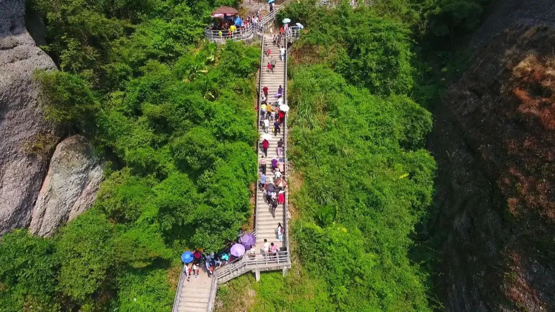 管护自然保护地守护绿水青山县林业局这次访谈干货满满