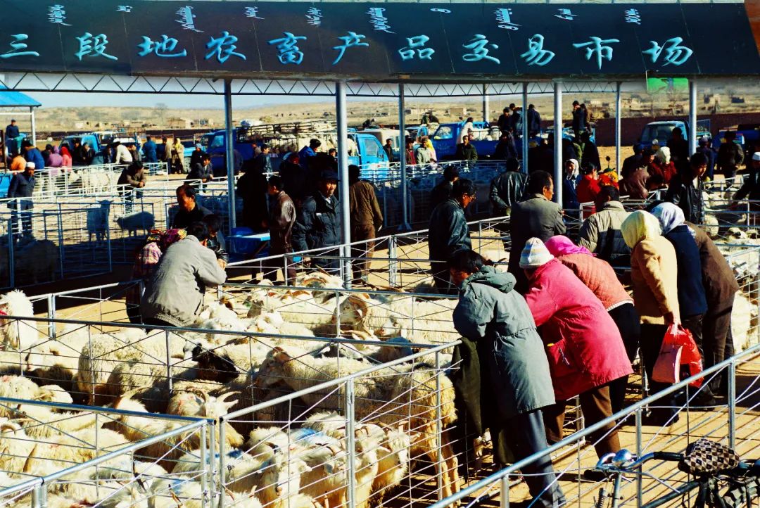 昔日三段地农畜产品交易市场中国西北地区最大的活羊交易市场——三段