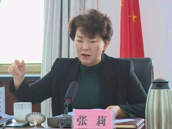 白银区召开国家自然资源督察西安局省自然资源厅督察反馈问题及农村