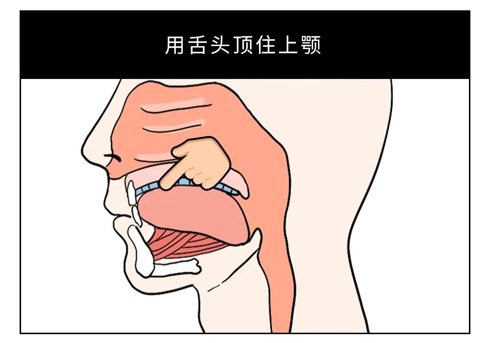 舌头顶上颚就可以完美解决这两个问题