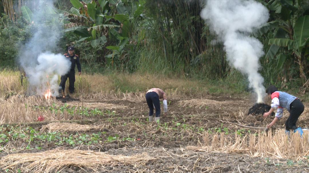 广宁又一人因焚烧秸秆被抓!