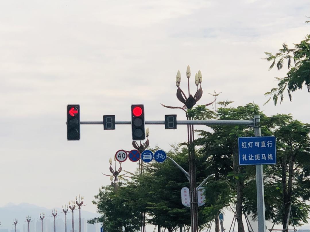 肇庆这条路红灯可直行,别忘了礼让行人!