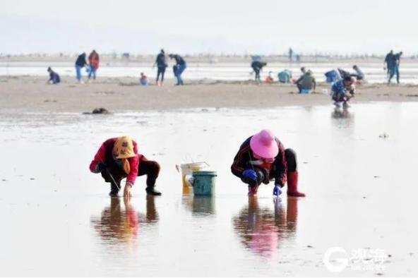 青岛海桐湾内衣_青岛啤酒图片(3)