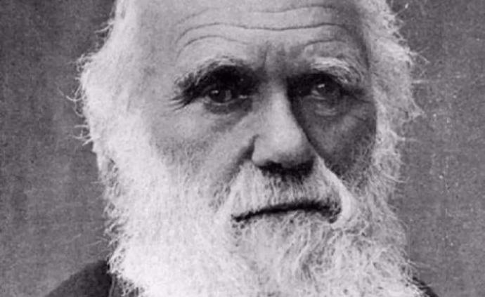 澎湃新闻 专注时政与思想 thepaper.cn