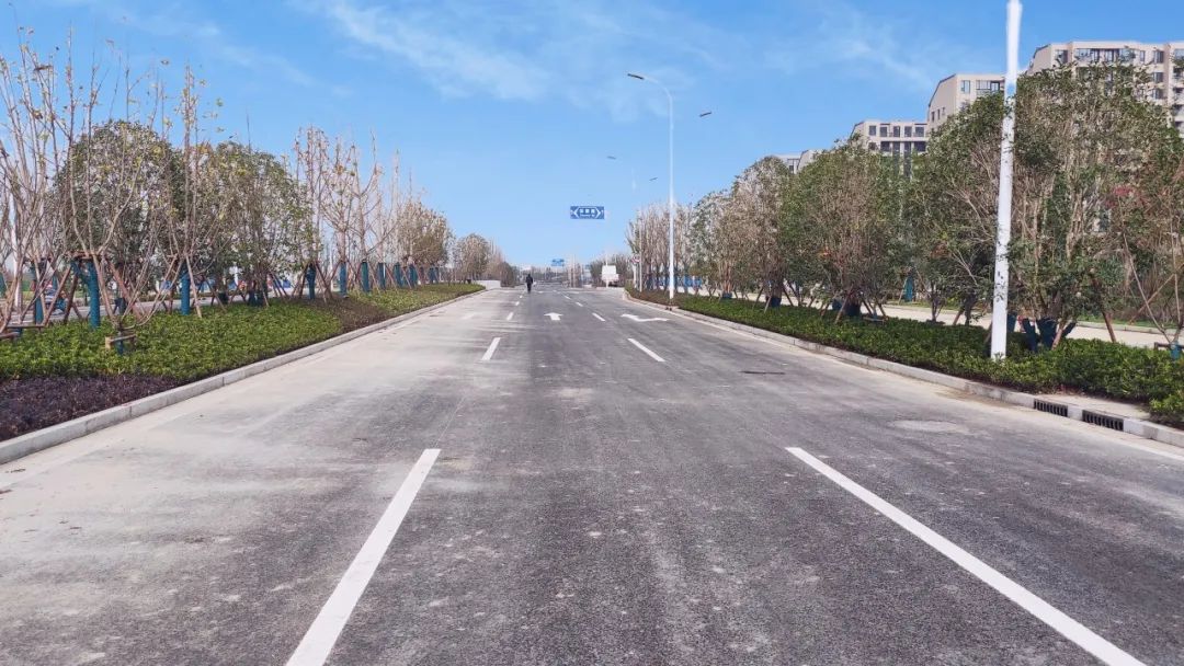 环意自行车赛开赛在即青浦大道a段具备通车条件
