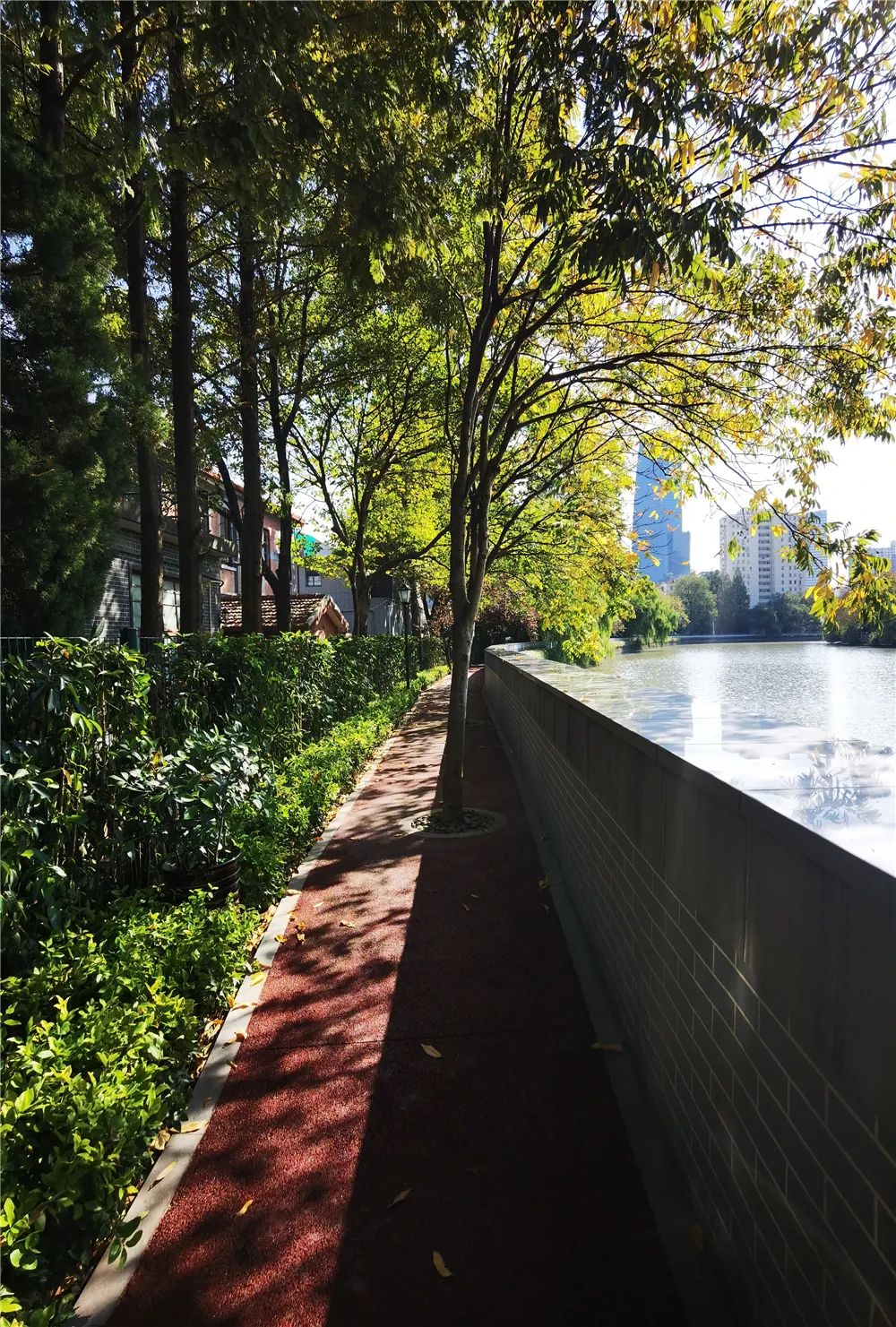 苏州河健身步道华政段拓宽啦一起来看现场美图