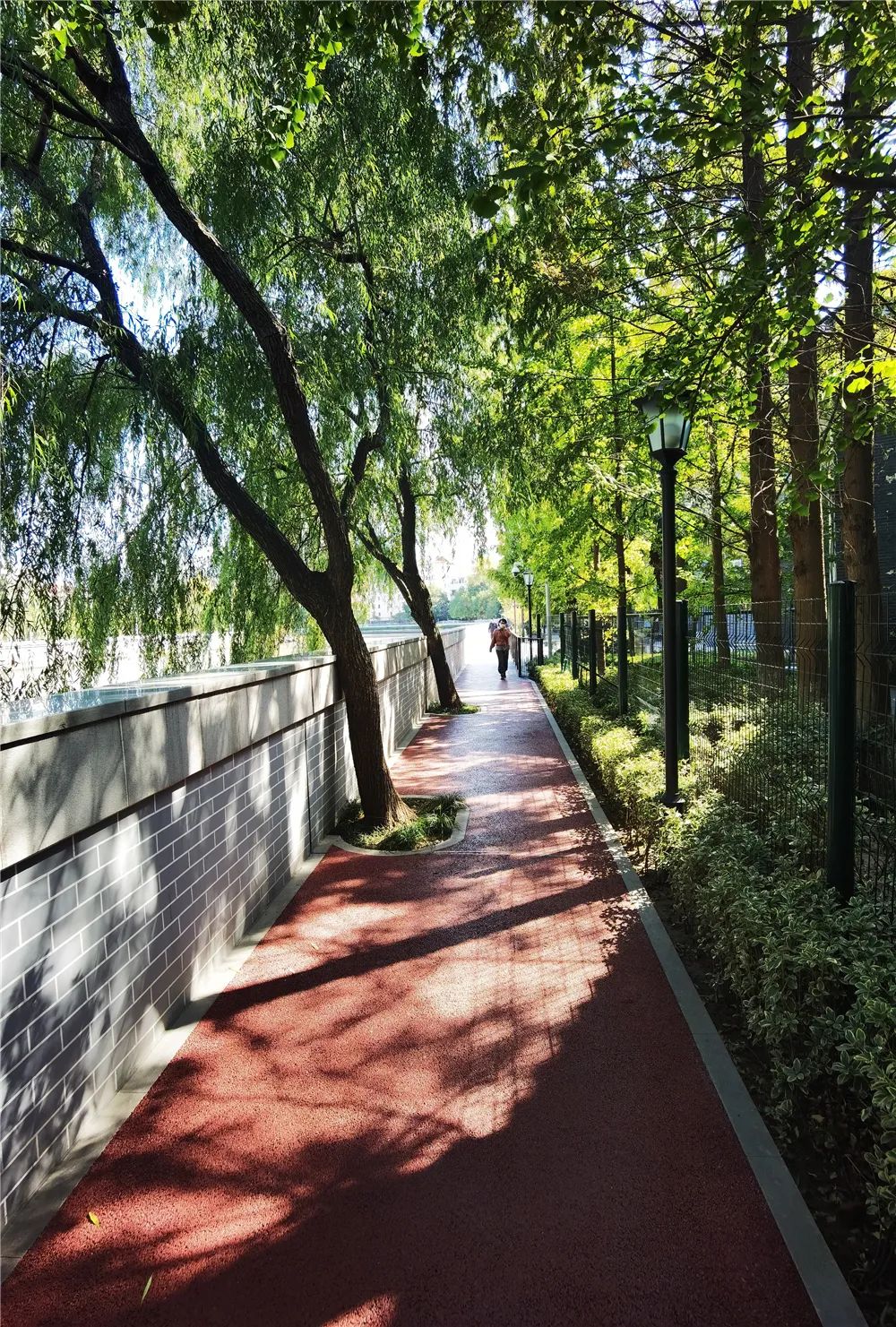 苏州河健身步道华政段拓宽啦一起来看现场美图