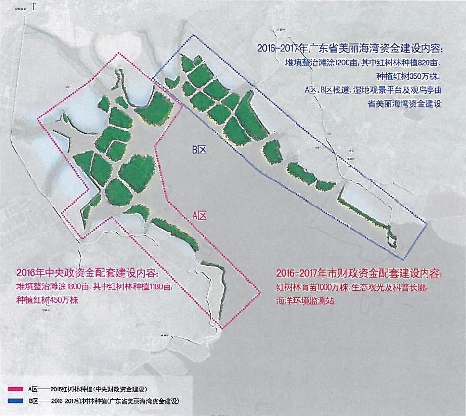 生态修复之考洲洋记 投资9000多万 回报绿水青山