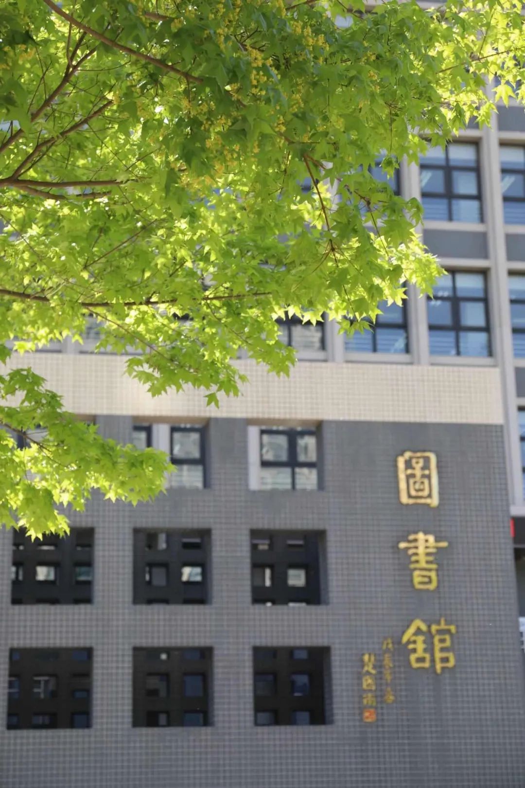 从az到处都是北方工大的模样