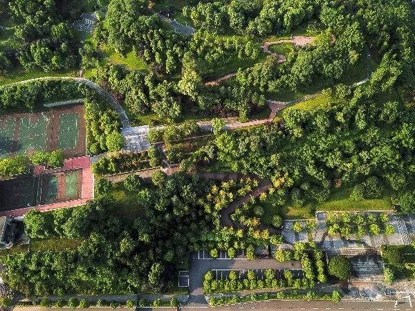 西永街道運動會開幕科學城全民健身燃燒卡路里