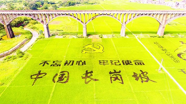 新编大型现代粤剧《长岗坡》首演!