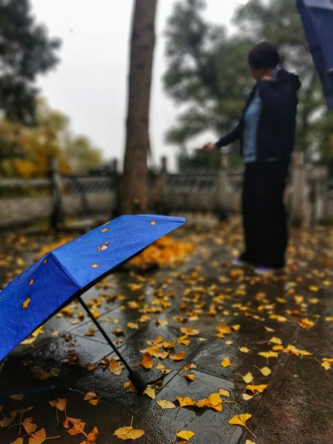 第一場冬雨來啦誰說下雨天不適合出門濟南這幾個煙雨地美成童話