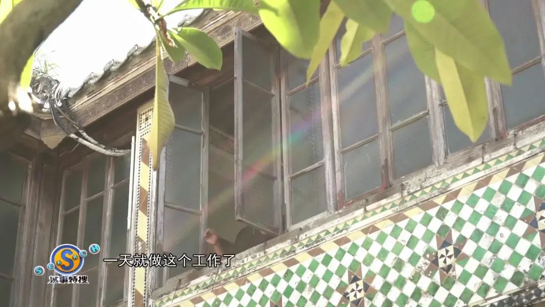 澄海就业人口_澄海狮头鹅图片(3)