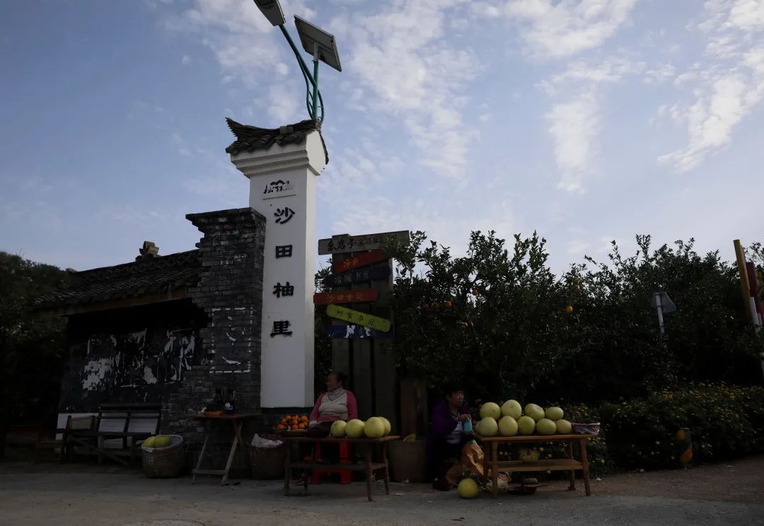 广汉连山的橘子红了!