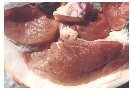 猪丹毒病肉 在胸腹部,颈部,背部甚至脚上的皮肤,都可以见到呈现"方形"