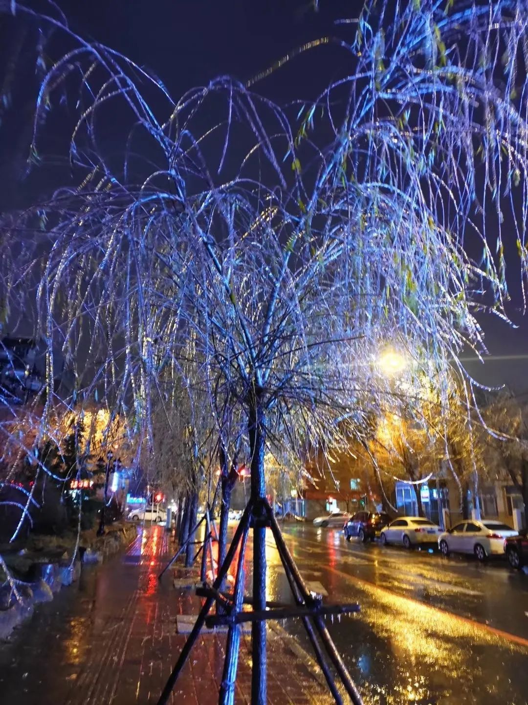 松原为雨或雨夹雪,其中白城为雨