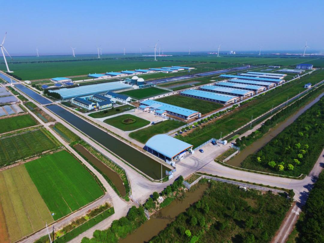 近年来,市,区委领导多次亲临大河村,视察指导乡村振兴建设工作,鼓舞着