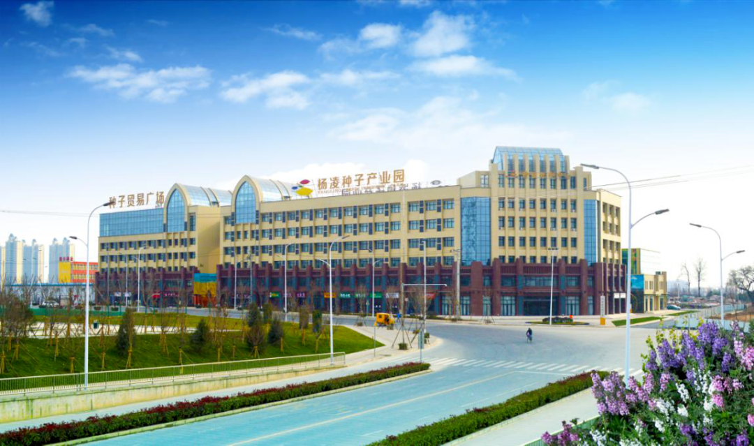 杨凌播种天下收