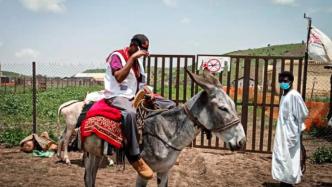 在苏丹，骑在驴背上的无国界医生