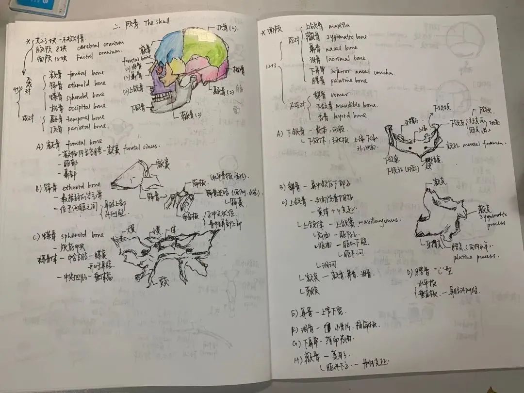 惊了这是医学生的笔记青铜这样记白银这样记王者却