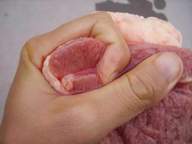 贵州警方查获4000多斤腐烂猪肉打开车厢恶臭阵阵如何分辨猪肉好坏速看