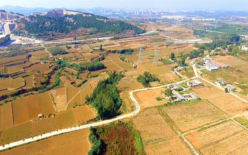 我家街巷最美系列展示泰安市肥城市孙伯镇五埠村