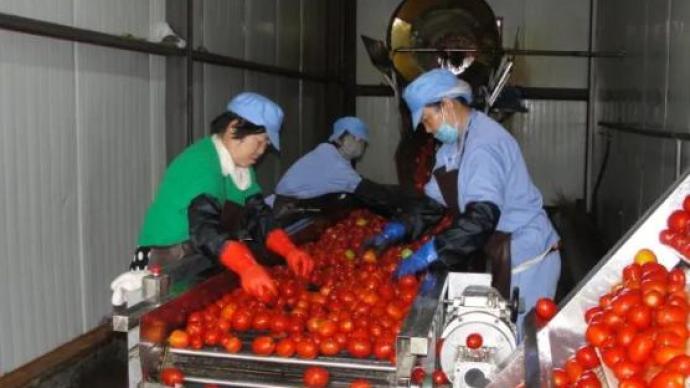巴彦淖尔：一件令人生疑的民事诉讼案，即将迫使一家农产品加工企业关闭