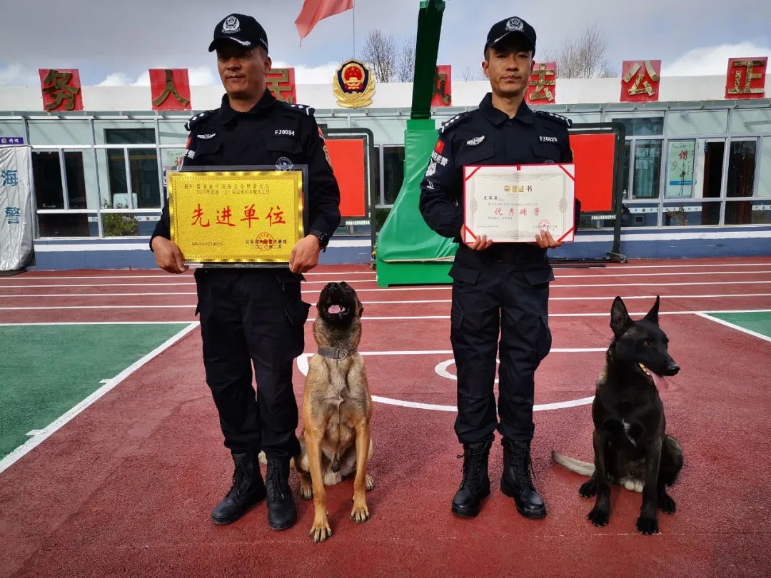 兴海县公安局特巡警大队警犬训导员赴警犬基地参加培训期间,荣获公安