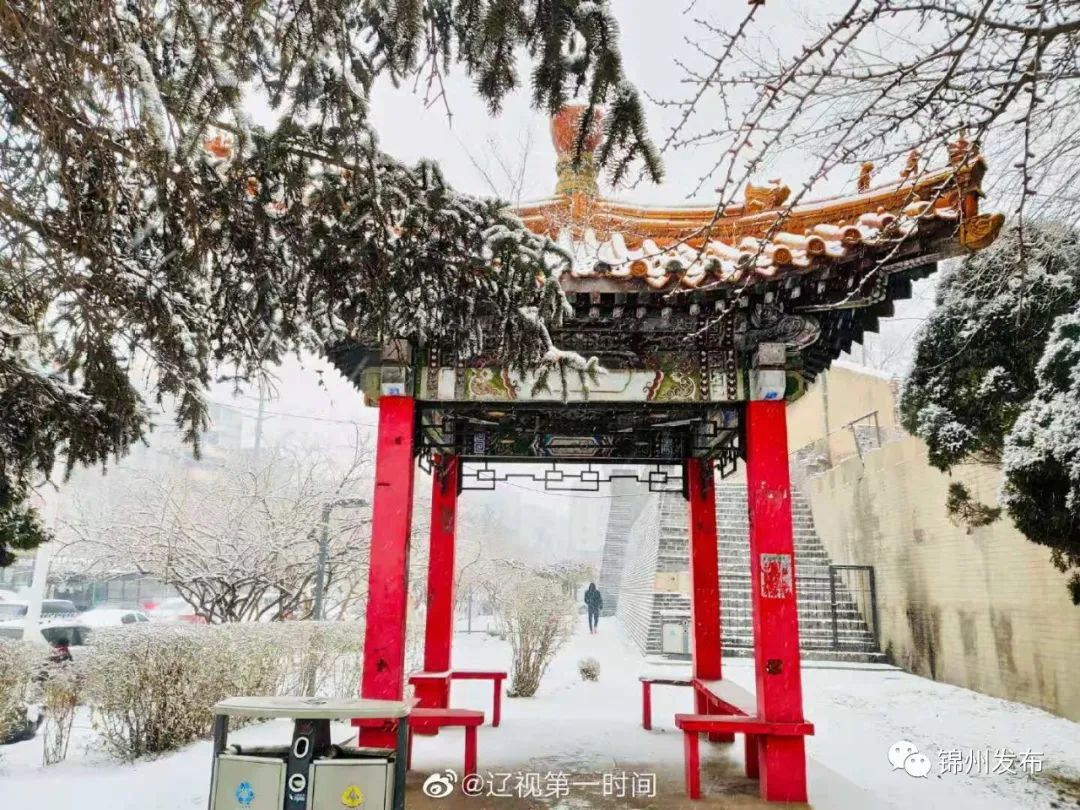 锦州雪景图片