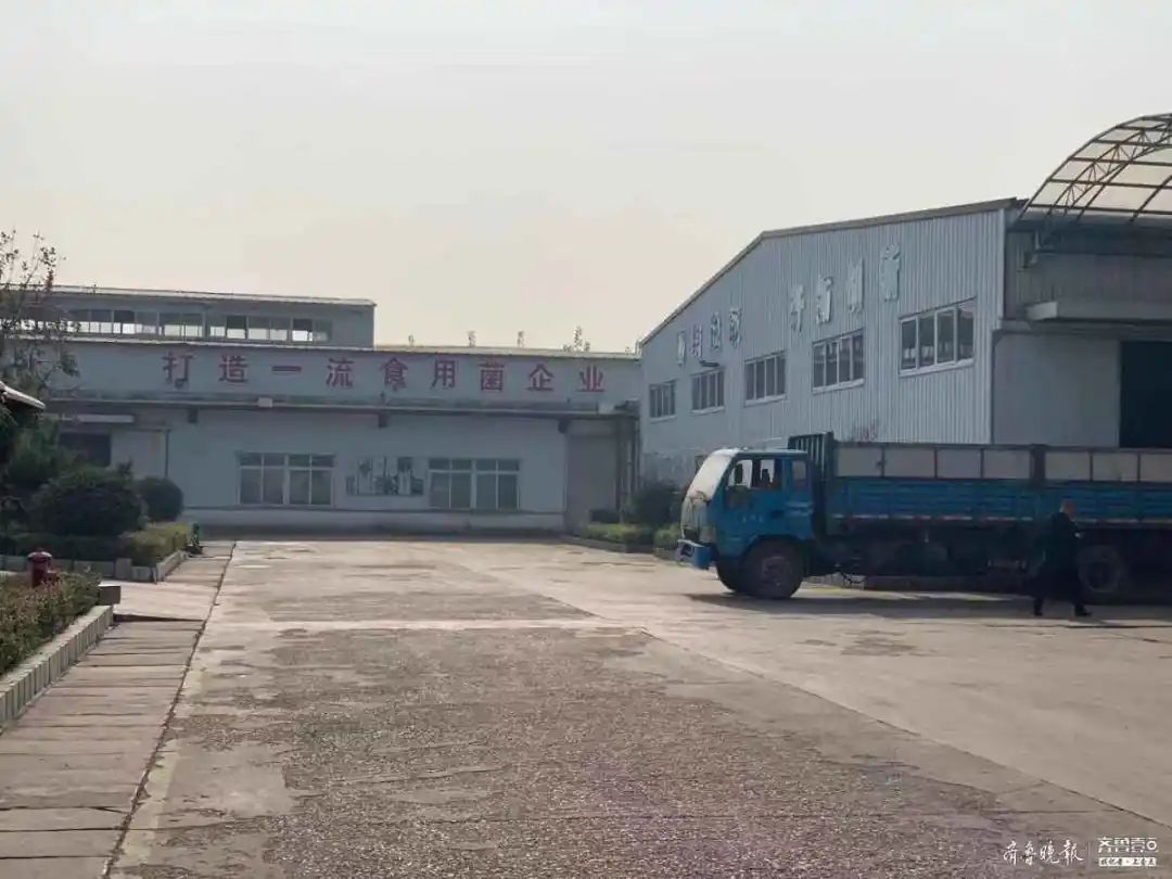 邹城市人均收入是多少_2020年人均收入是多少
