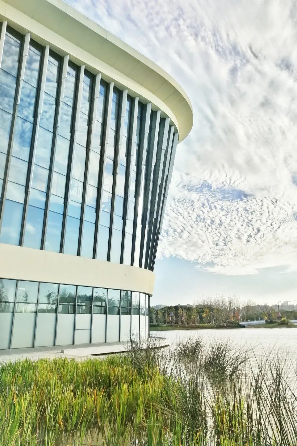 不去凡尔赛也能拍出华丽油画感大片九棵树你值得拥有