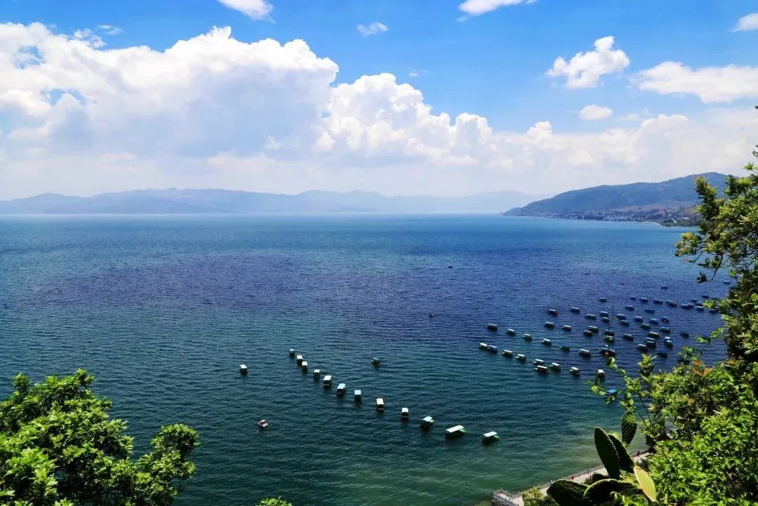 州市要闻澄江市推进抚仙湖生态湿地建设