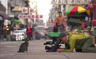 日本摄影师为了拍猫，花费7年，走遍50个地区