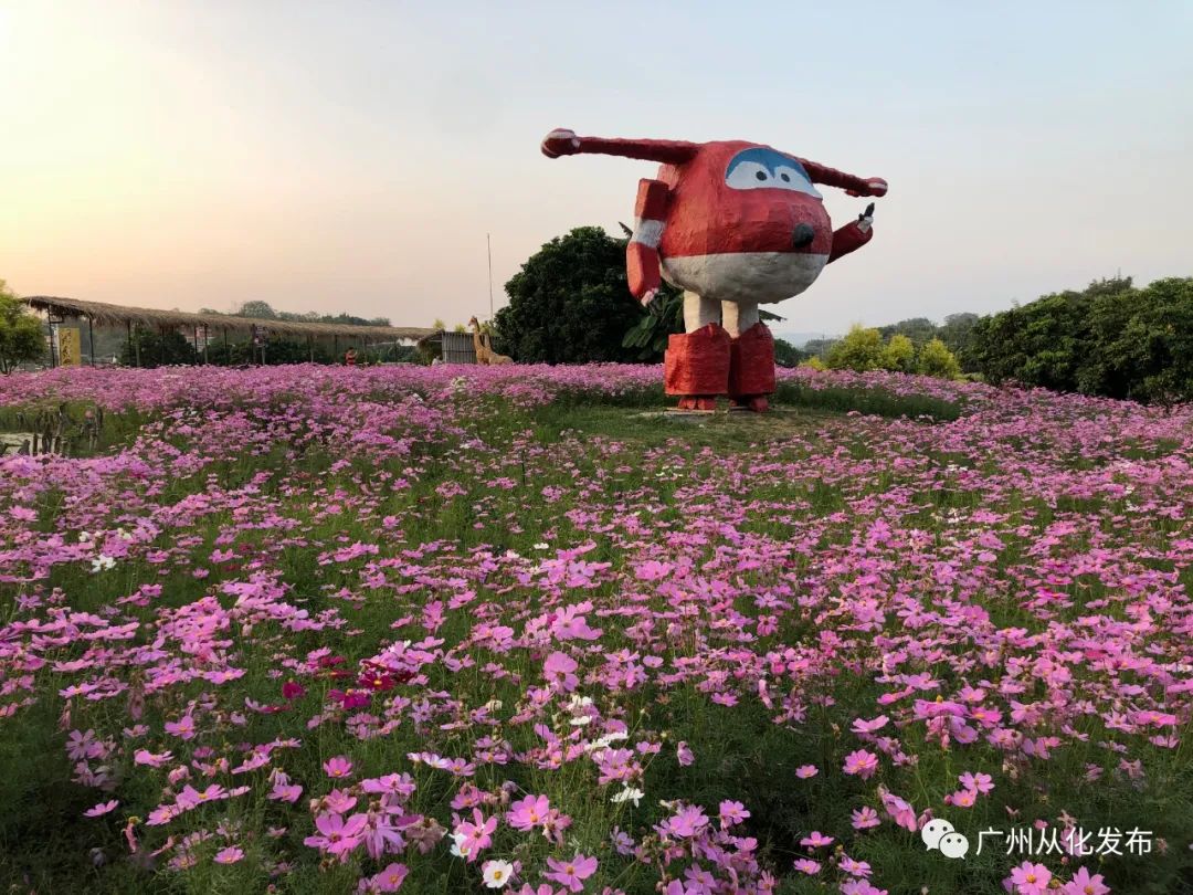 via廣州日報· 賞花地址信息 ·從化區西塘童話小鎮的稻草農業公園