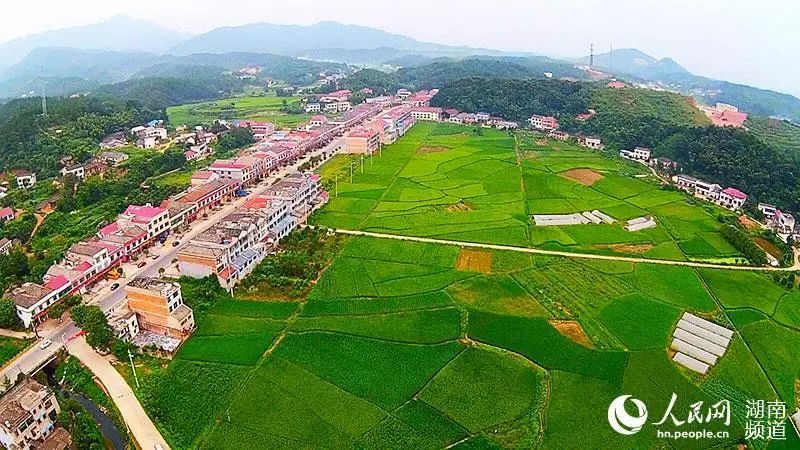 【"格格"网事】浏阳葛家:在最美的网"格"里 遇见最美的家