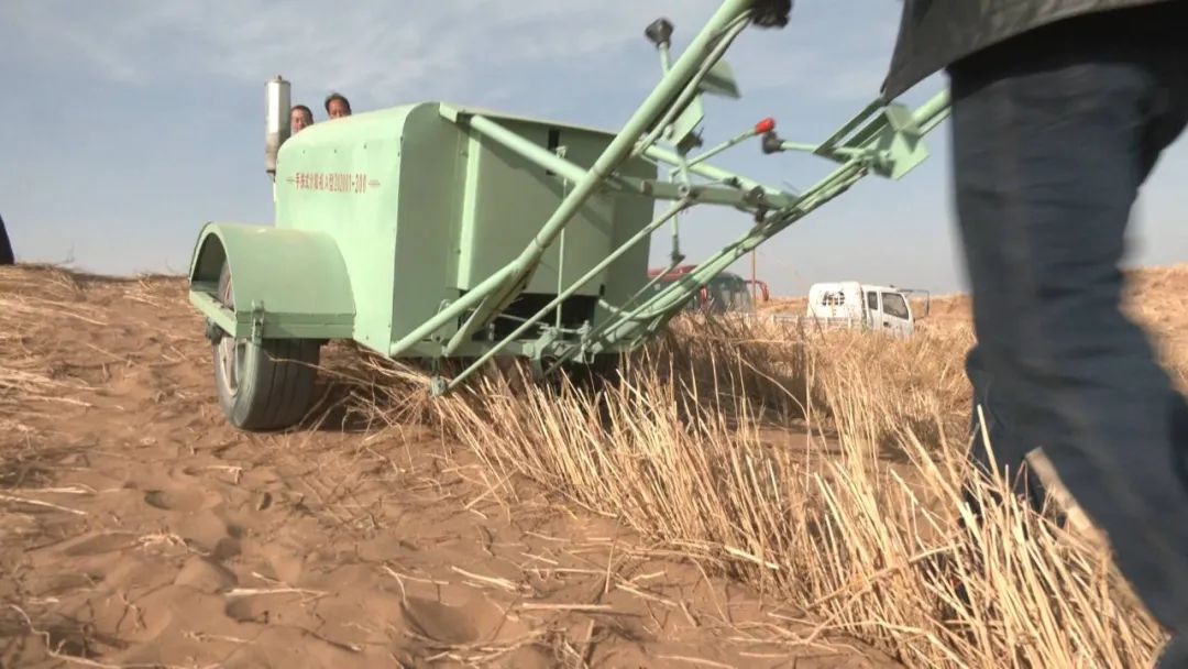 甘肃省治沙研究所所长徐先英:"我们主要是针对沙区地貌类型多样,较多