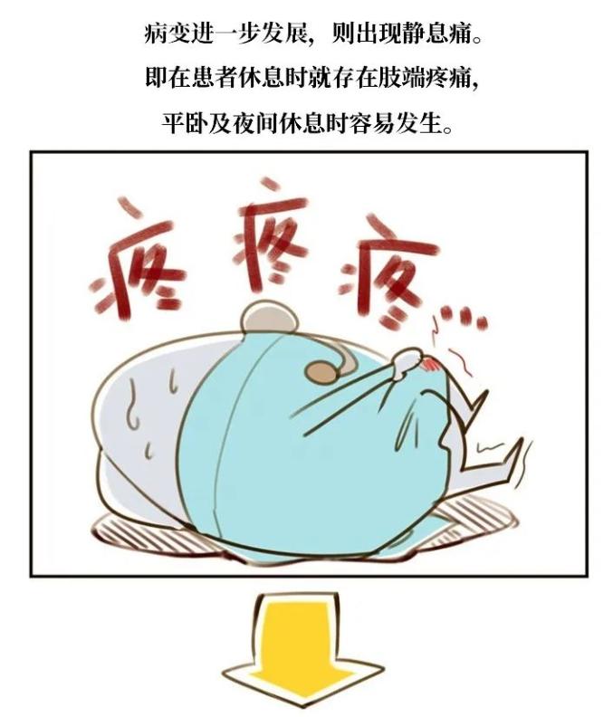 544.jpg