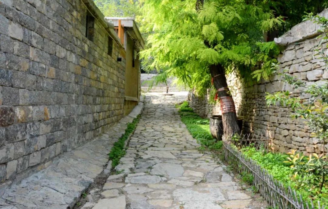 "我家街巷最美"系列展示 | 泰安市肥城市安临站镇牛庄村